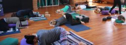 Yin Yoga Certification