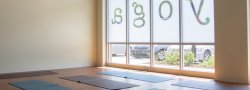 Prenatal Wellness Series