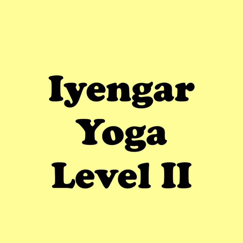 Level 2 Yoga - Iyengar