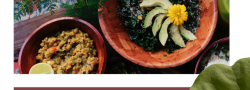 Ayurveda Workshop and Meal
