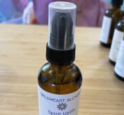 Wild Heart Alchemy : Bug Spray