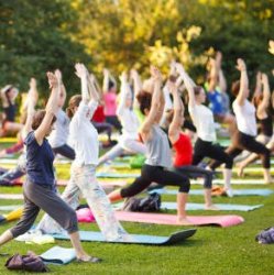 Yoga In the Park