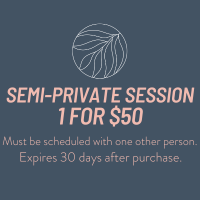 Semi-Private Single Session