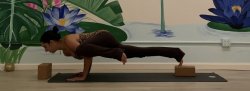 Intro to Arm Balances & Inversions