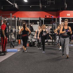 Bootcamp 12 Months PIF Special