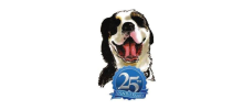 Paws-Itive Experience Pet Services