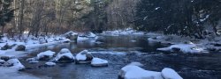 Attuning to Winter: Yin Yoga and Chinese Medicine
