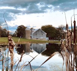 Barn Rental Saturday