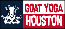 Goat Yoga Houston