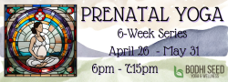 Prenatal Yoga Series