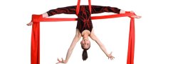 Morning Care: Aerial Camp