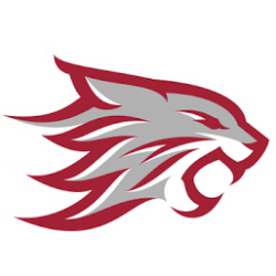Wildcat-Revive and Fortify