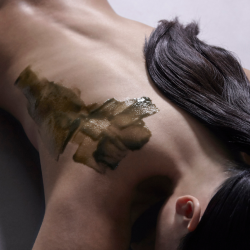 The Ultimate Body Renewal Membership