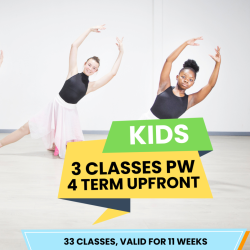 Kids/Teens - 3 Hour Class P/W - 4 Term Upfront