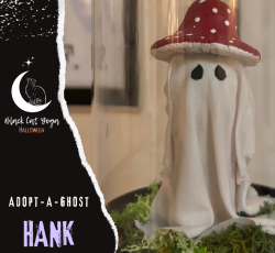 Adopt-a-Ghost
