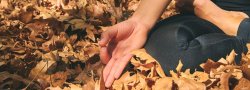 Autumn Equinox Mini-Retreat