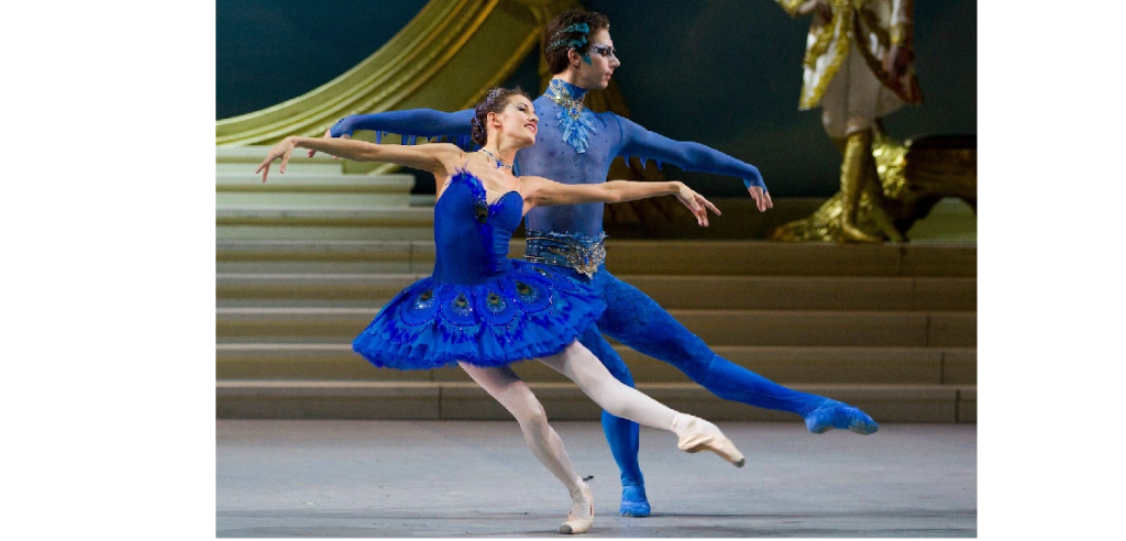 Y.ballet  T&Y Ballet Studio
