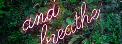 The Art of Breathing Well: Online Pranayama with Kate Tomlinson 6:30 - 7:30pm 9 Sep - 22 Oct  (7 Classes)