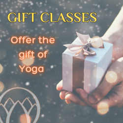 GIFT of 5 Class Package