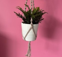 Macramé Plant Hanger