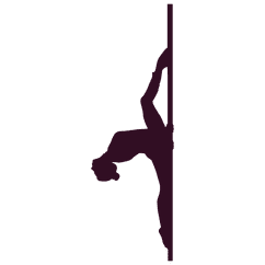 5 Class Pass for Pole SALE