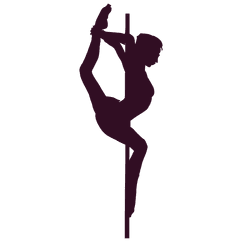 10 Class Pass for Pole SALE