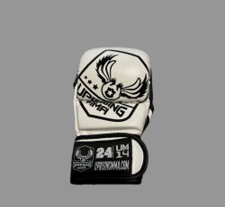 STRIKING - GRAPPLING GLOVE  - WHITE