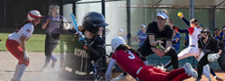 Softball Beginners Training (90 mins) - Offensive & Defensive Basics