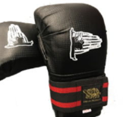 TKD Hand Guards - NMAA