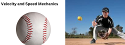 Baseball Clinic: Velocity & Speed Mechanics 6th-high school
