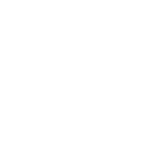 Class pass (1 visit)