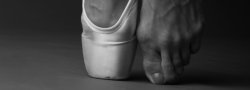 Pre-Pointe Series
