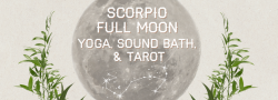 Scorpio Full Moon Yoga & Sound Bath
