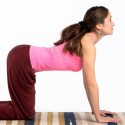 Intro Offer 2 weeks $49.00