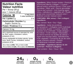 Revolution Isolate Splash Protein - Grape