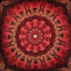 Breathwork/Polyvagal/Mindfulness - 3x/week