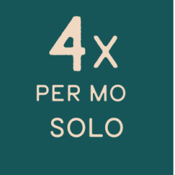 Loyalty - 4 x per month - SOLO