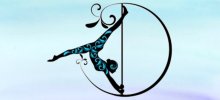 Twizted Fitness llc