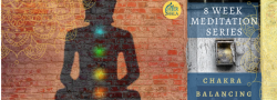 8 week Meditation Series