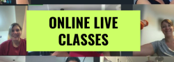 Fall WED Boot Camp Express (Live Virtual)