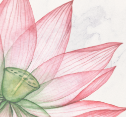 2025 Guemes Retreat Deposit