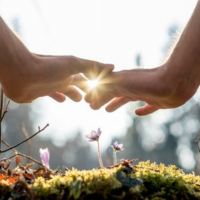 Holy Fire® Reiki & Sound Healing (IN PERSON)