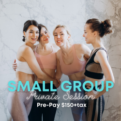 Small Group Private Session