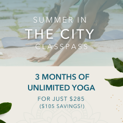 Summer in the City Unlimited Pass