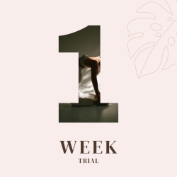 1-Week Trial (Unlimited)