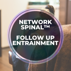 Follow-up Entrainment - Network Spinal™