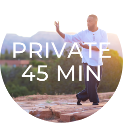 10 Pack - 45 Minute Private Tai Chi / Qigong Session
