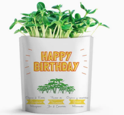 Gift a Green | Greeting Pouch