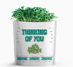 Gift a Green | Greeting Pouch