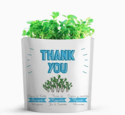 Gift a Green | Greeting Pouch